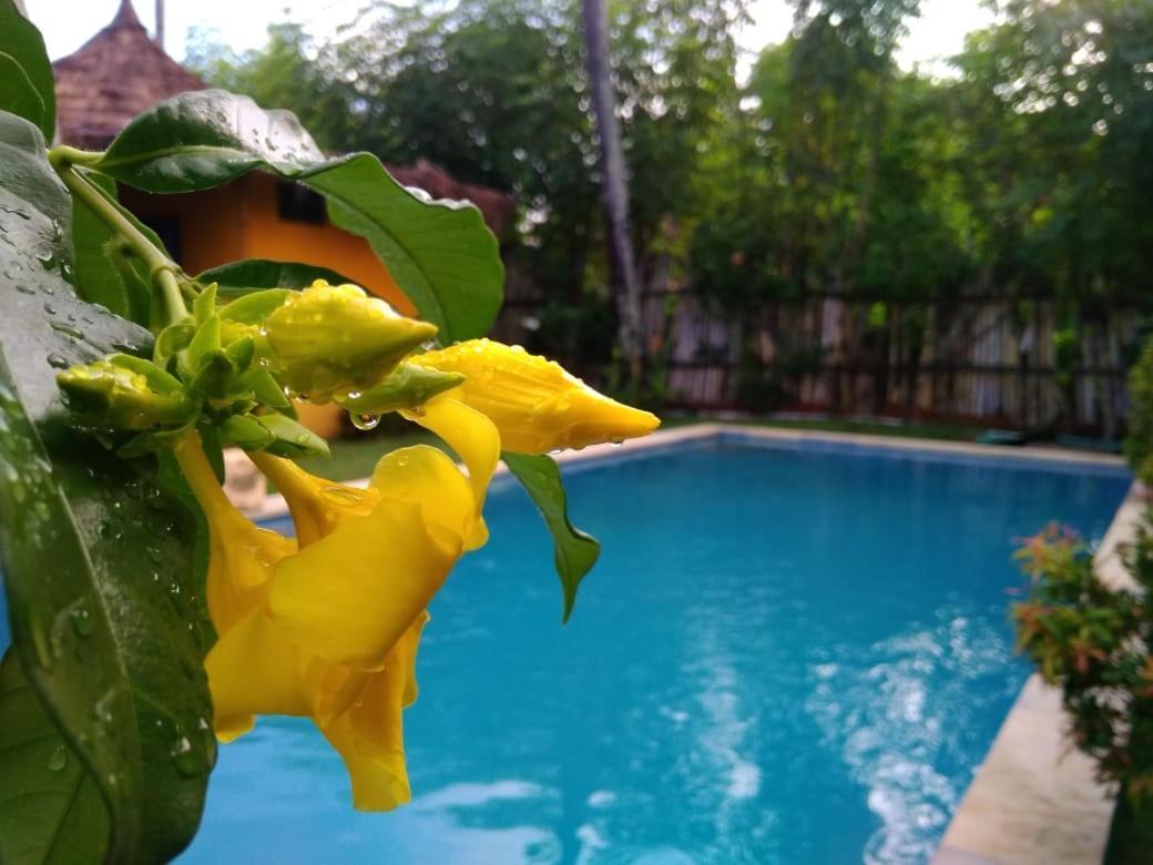 Oasi Bungalows Gili Islands Exterior photo